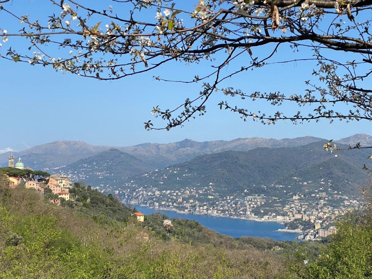 Liguria Home 4 - Recco Centro A 2 Minuti Dal Mare المظهر الخارجي الصورة